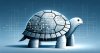 Unveiling Sea Turtle: A Persistent Cyber Espionage Threat